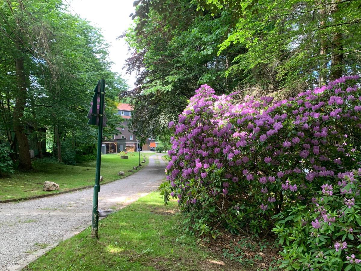 Haus Am Kurpark Daire Clausthal-Zellerfeld Dış mekan fotoğraf