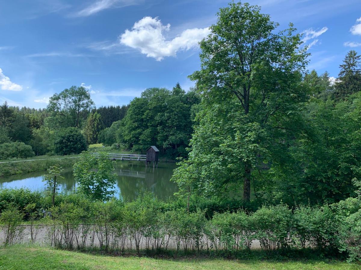 Haus Am Kurpark Daire Clausthal-Zellerfeld Dış mekan fotoğraf