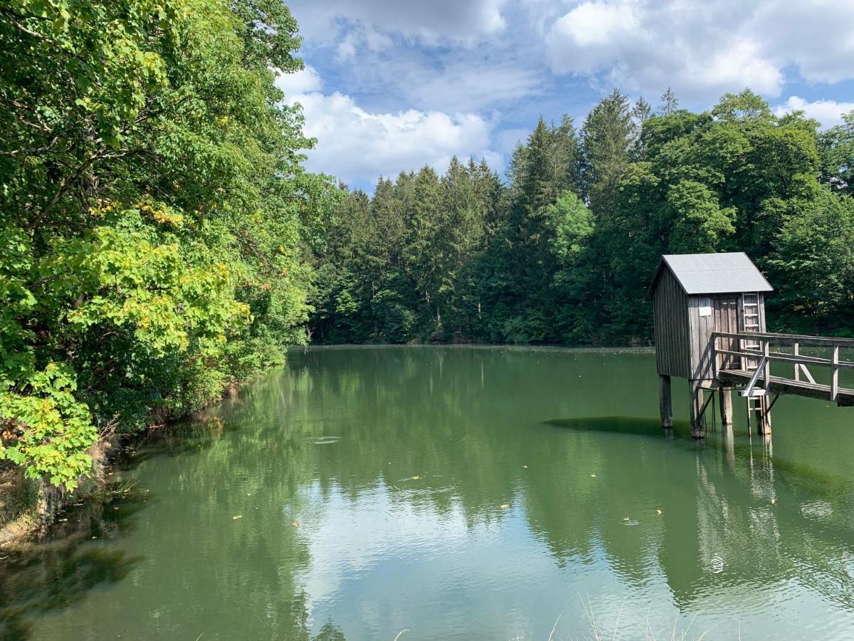Haus Am Kurpark Daire Clausthal-Zellerfeld Dış mekan fotoğraf